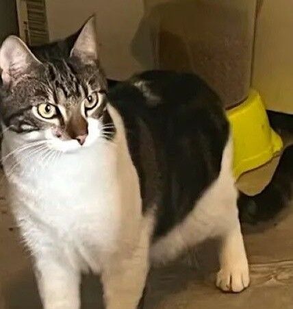 Christopher Christopher