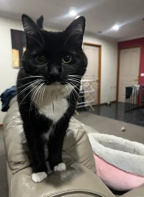 Nikita aka Nikki Nikita aka Nikki